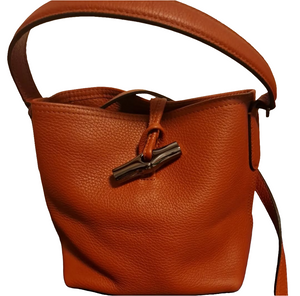 Longchamp Bag