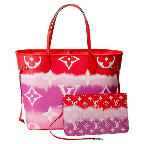 Louis Vuitton Neverfull Bag