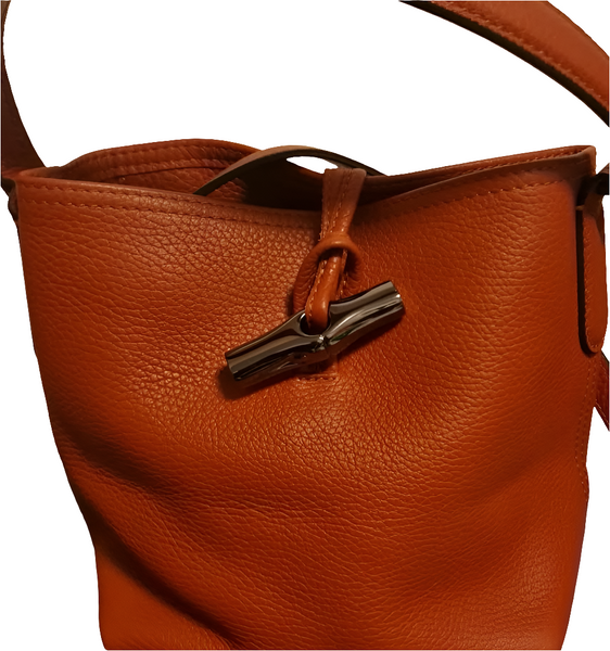 Longchamp Bag