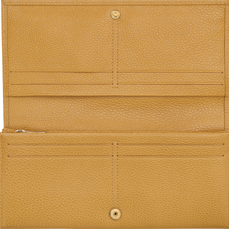 Longchamp wallet